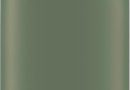 Sigg – Gourde Aluminium – Traveller Leaf Green – Certifiée Neutre En CO2 – Convient Aux Boissons Gazeuses – Étanche & Légère – Sans BPA – Pour Sport, Camping, Randonnée – Vert – 1L – Le détail qui change tout au quotidien