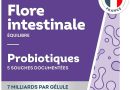 Vitavea – Probiotique Flore Intestinale, Equilibre du Microbiote, Digestion – Ferments Lactiques – Lactobacillus et Bifidobacterium – 30 gélules végétales – 1 mois – Fabriqué en France – Le détail qui change tout au quotidien