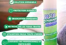 Stop-O-Punaise Pro- Spray Anti Punaise de Lit – 500ml – Action Immédiate – Protection Durable contre les Piqûres – Éradication Instantanée – Confiance des Professionnels et Particuliers – Le détail qui change tout au quotidien