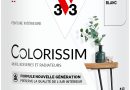 V33 Peinture multi-supports Colorissim® Blanc satin 0,5L – Le détail qui change tout au quotidien