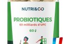 NUTRI & CO Probiotique Flore Intestinale – 60 Milliards UFC/jour – 8 Souches Dont 3 Cliniquement Étudiées – 60 Gélules Gastro-Résistantes aux Enzymes Digestives – Conditionné en France – Le détail qui change tout au quotidien
