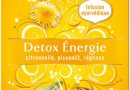 Yogi Biologique Détox Energie, Infusion 100% Bio Citronnelle, Pissenlit Et Réglisse, 15 Sachets Thermosoudés Et Sans Agrafe, 21.6 G, 310216 – Le détail qui change tout au quotidien