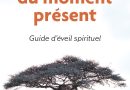 Le pouvoir du moment présent – Guide d&rsquo;éveil spirituel – Le détail qui change tout au quotidien