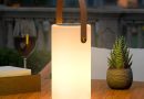 MALUX Lampe de table solaire d&rsquo;extérieur 2 en 1 – Charge blanc chaud et RVB – Lampe de table LED avec télécommande IP44 – Étanche – Sans fil – Portable – Rechargeable – Pour jardin, terrasse, balcon – Le détail qui change tout au quotidien