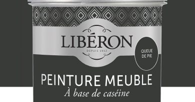 Libéron – Peinture Meuble à base de Caséine – Peinture Bois Intérieur – Haut Pouvoir Couvrant – Confort d&rsquo;Application – Décoration et Rénovation meuble et objets – 40 Teintes – Queue de Pie – 500 ML – Le détail qui change tout au quotidien