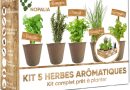 NOPALIA® Kit Herbes Aromatiques Bio Prêt à Pousser – 5 Variétés (Basilic, Persil, Ciboulette, Coriandre, Romarin) Pots Biodégradables, Terre & Ebook Recettes – Cadeau Cuisine Noël – Le détail qui change tout au quotidien