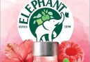 Elephant, Infusion à Froid Détox, Goût Cranberry, Framboise et Hibiscus, Boisson d&rsquo;Eté Rafraichissante, Ingrédients d&rsquo;Origine 100% Naturelle, 15 Sachets Pyramid – Le détail qui change tout au quotidien