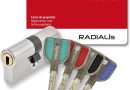 Vachette RADIALis – Cylindre de Serrure Débrayable SYNKRO 32,5×32,5 mm Inox, Sécurité Maximale, pour Porte extérieure, porte d&rsquo;entrée – 4 Clés Incopiables, Carte de Propriété – Le détail qui change tout au quotidien
