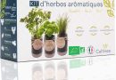 CULTIVEA® Kit Prêt à Pousser d’Herbes Aromatiques – Graines 100% Bio – Made In France – Jardin potager d’intérieur – Plante (Basilic, Persil et Ciboulette) – Idée Cadeau – Le détail qui change tout au quotidien