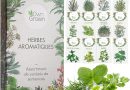 Kit de graines d‘Herbes aromatiques prêt à Pousser OwnGrown, 12 épices et aromates à Planter en Un kit Pratique, Naturelles pour Culture intérieure et extérieure – Le détail qui change tout au quotidien