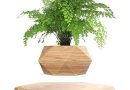 Plante en Lévitation Plante Flottant Air Bonsaï Jardinière de Pot de Fleur de Suspension pour la décoration de Bureau – Le détail qui change tout au quotidien