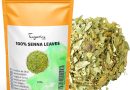 TazarinLtd 100g Feuilles de Séné Entières – Puissant Purgatif, Laxatif Naturel – Favorise le Transit Intestinal et le Nettoyage du Colon – Tisane Detox – Le détail qui change tout au quotidien